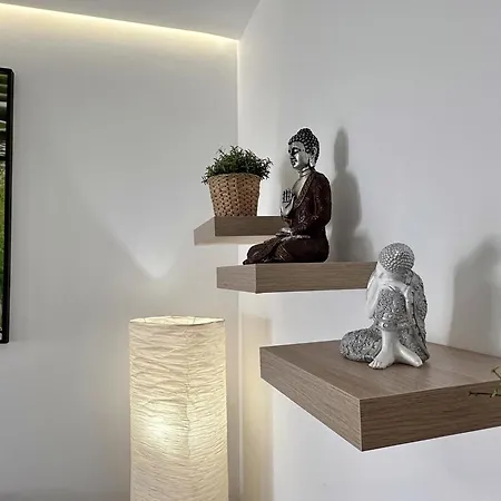 7 Moons Solo Adultos San Bartolomé